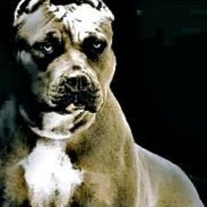 Meet your Posher, Eddy